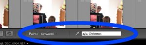 Lightroom view of keywords display with text