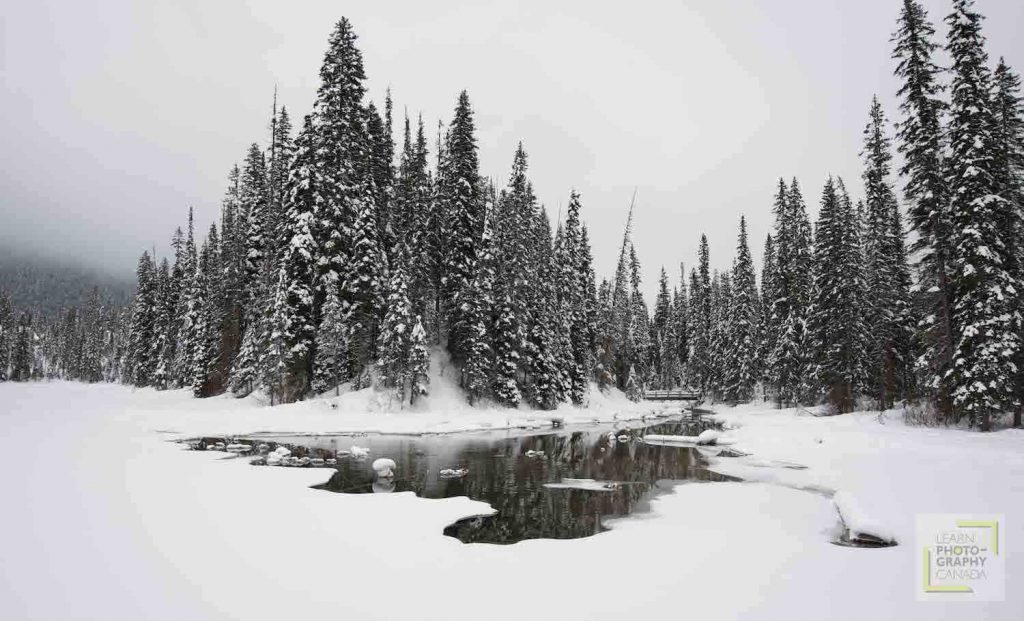 Snow covered trees behind frozen lake with small bridge