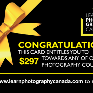 Gift One Workshop of their Choice