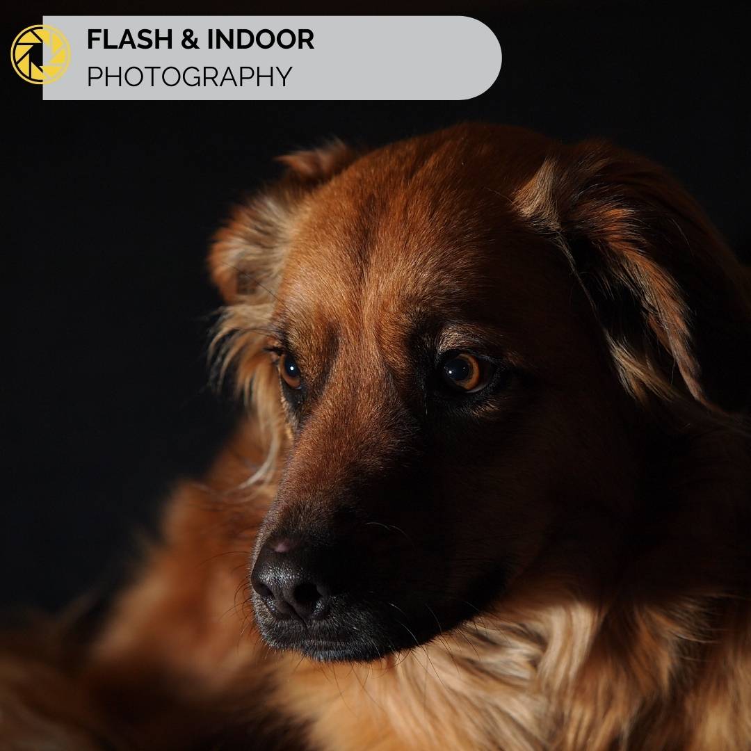 Flash & Indoor Image