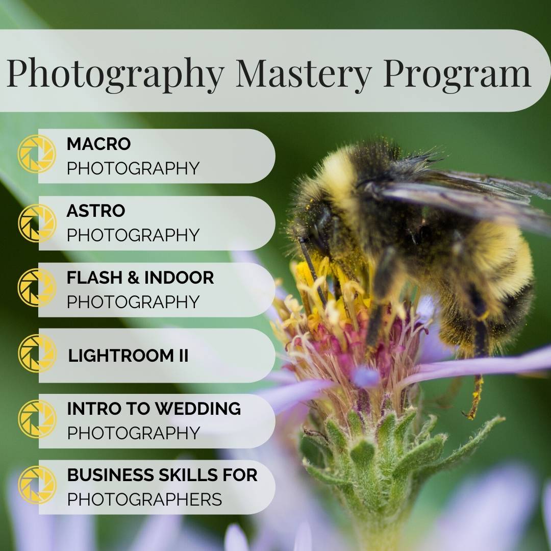 Photography Mastery Program