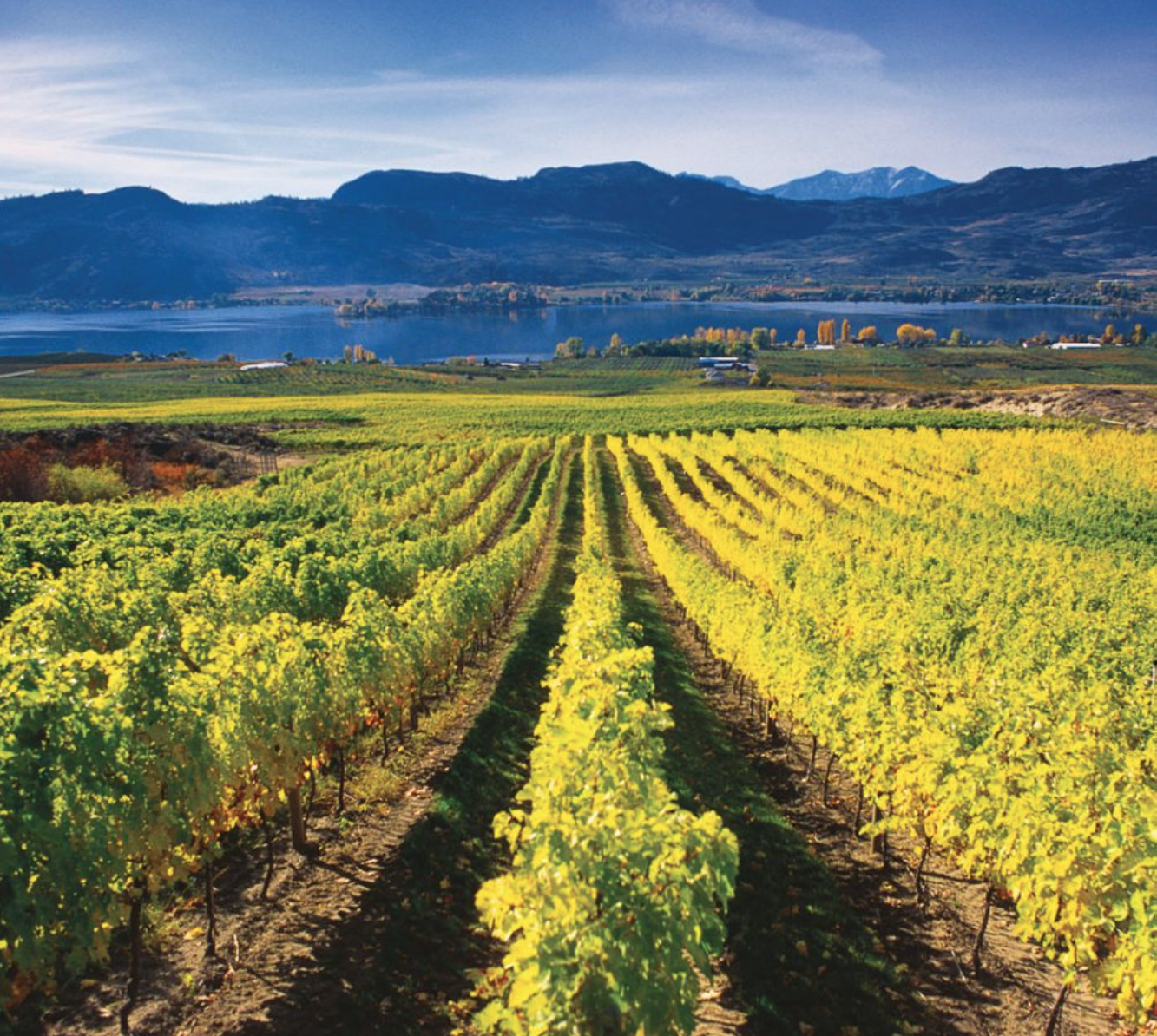 Screenshot 2025-04-02 230043