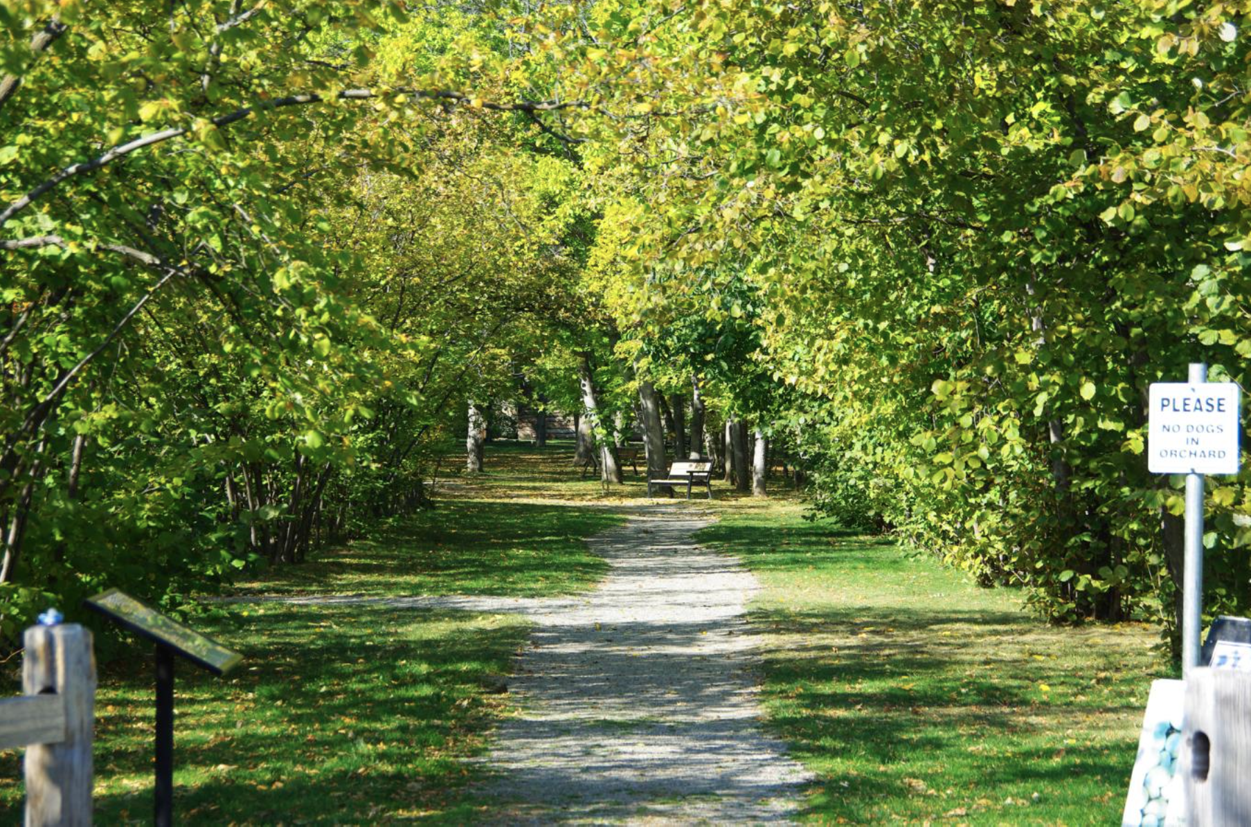 Screenshot 2025-04-02 230425