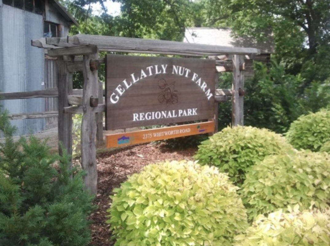 Screenshot 2025-04-02 230501