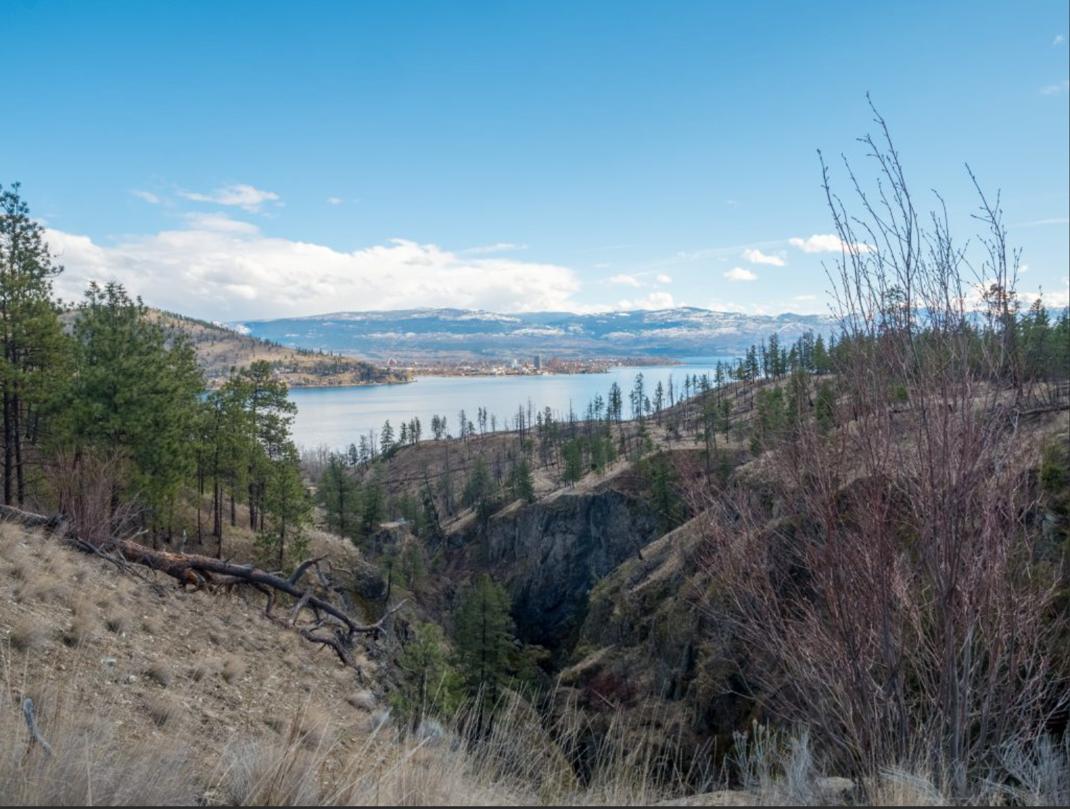 Screenshot 2025-04-02 230732