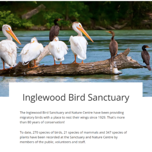 Inglewood Nature Photography Workshop: Landscapes & Birds: Sunday May 18, 2025
