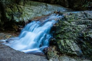 Steve-Image-7-300x200