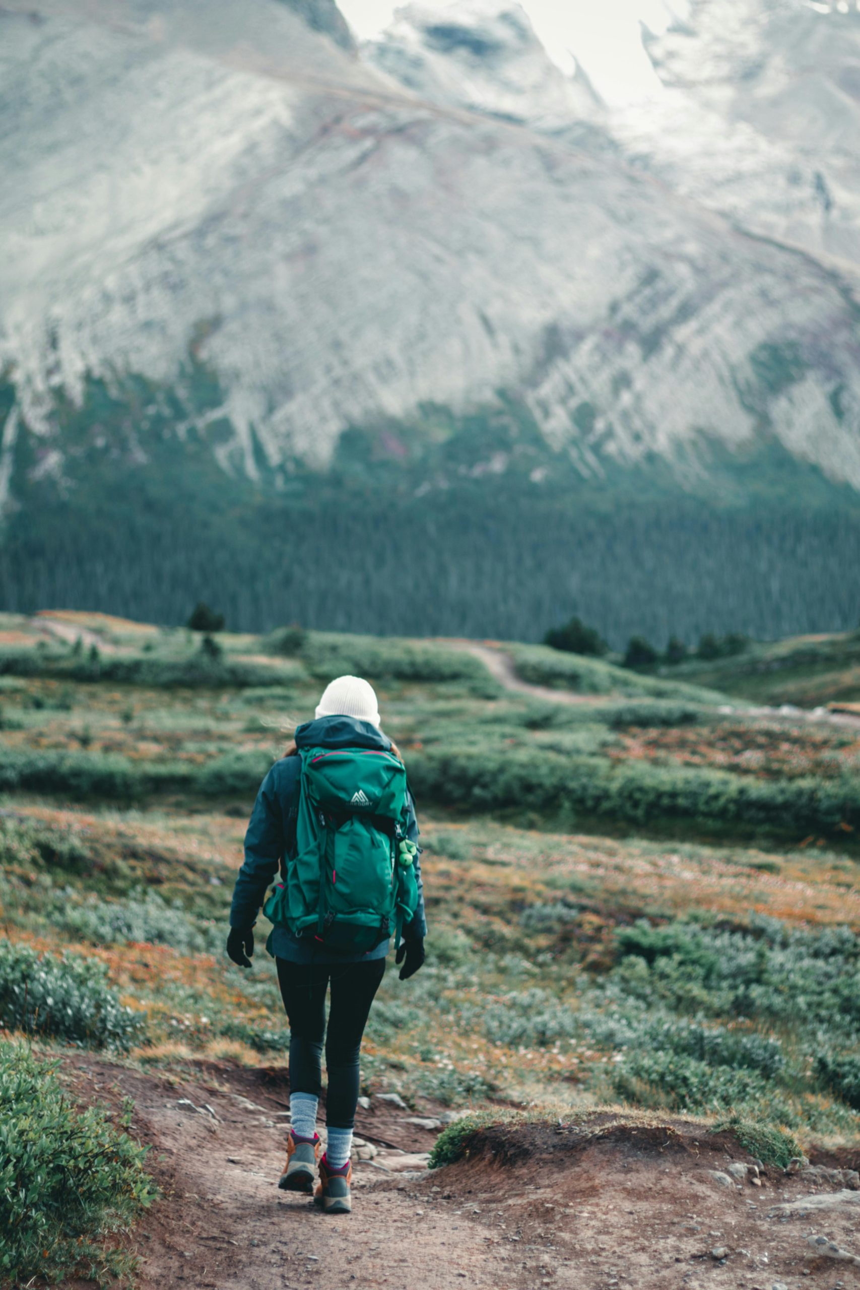 pexels-lureofadventure-10762590