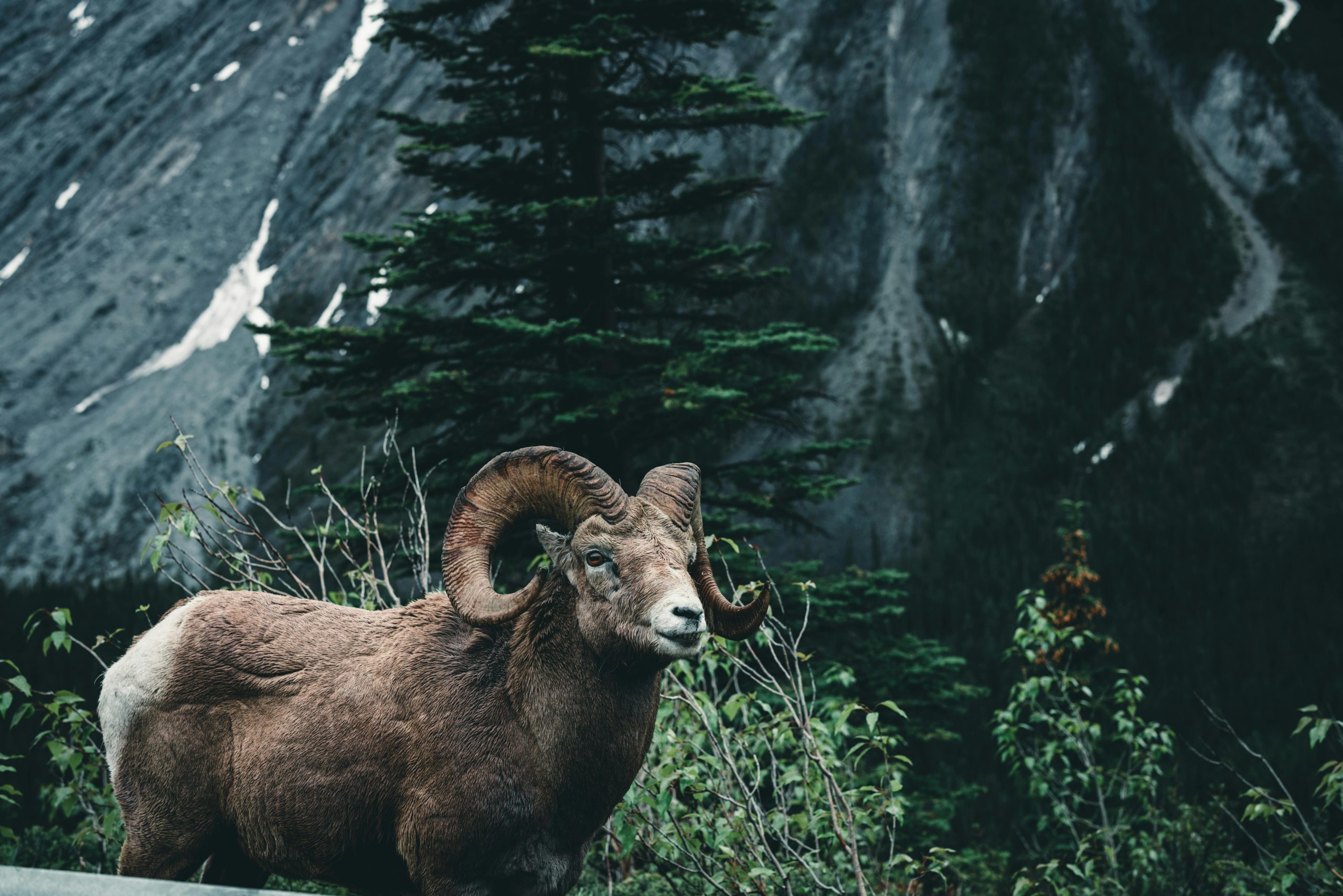 pexels-lureofadventure-17219041