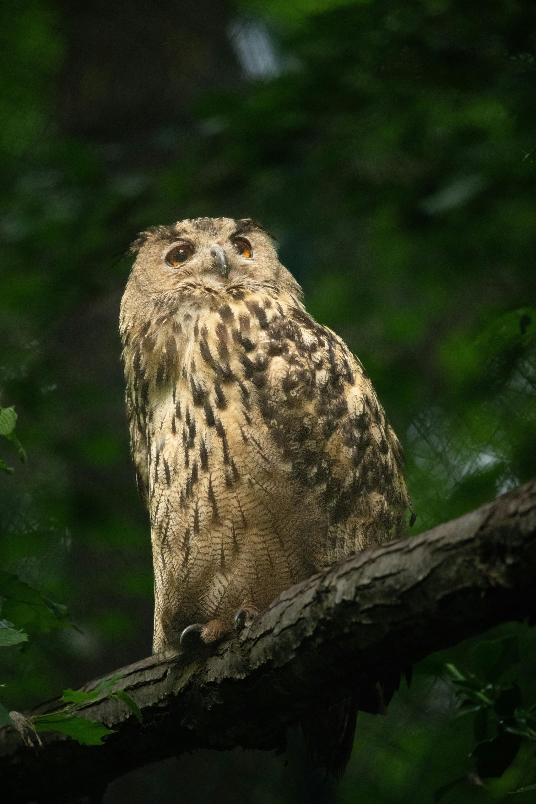 pexels-picturesaddict-32535925