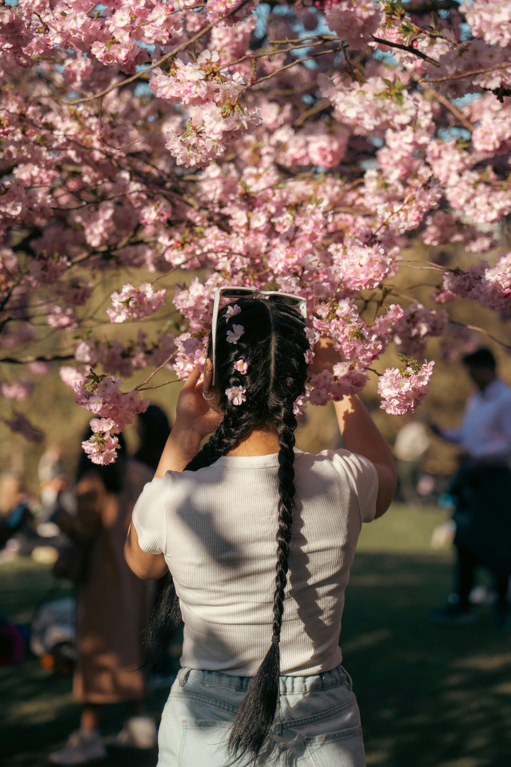 pexels-sarah-486644806-31555586