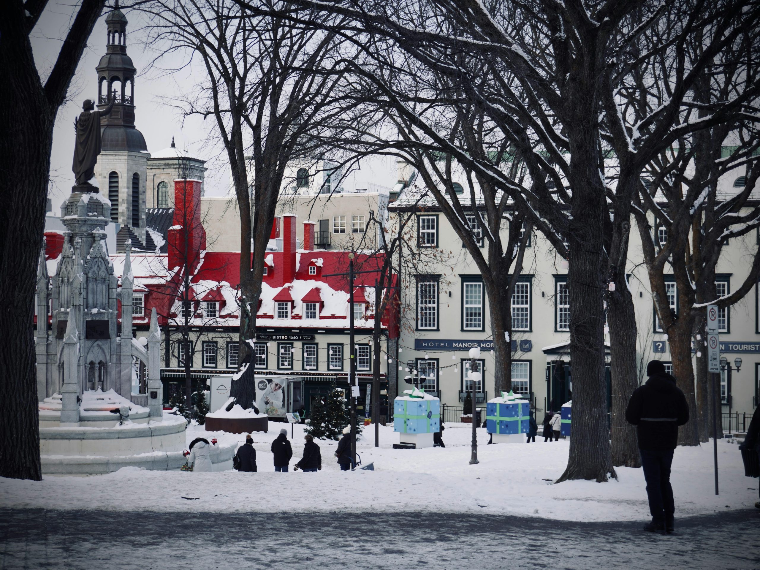 Winter Stories: Photographing the Soul of Quebec City at Carnaval February 10 - 15, 2027 - Image 4