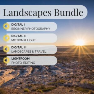 Landscapes Bundle