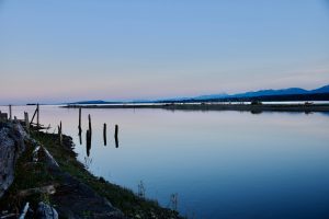 Blue-Hour-Courtenay-Estuary-300x200